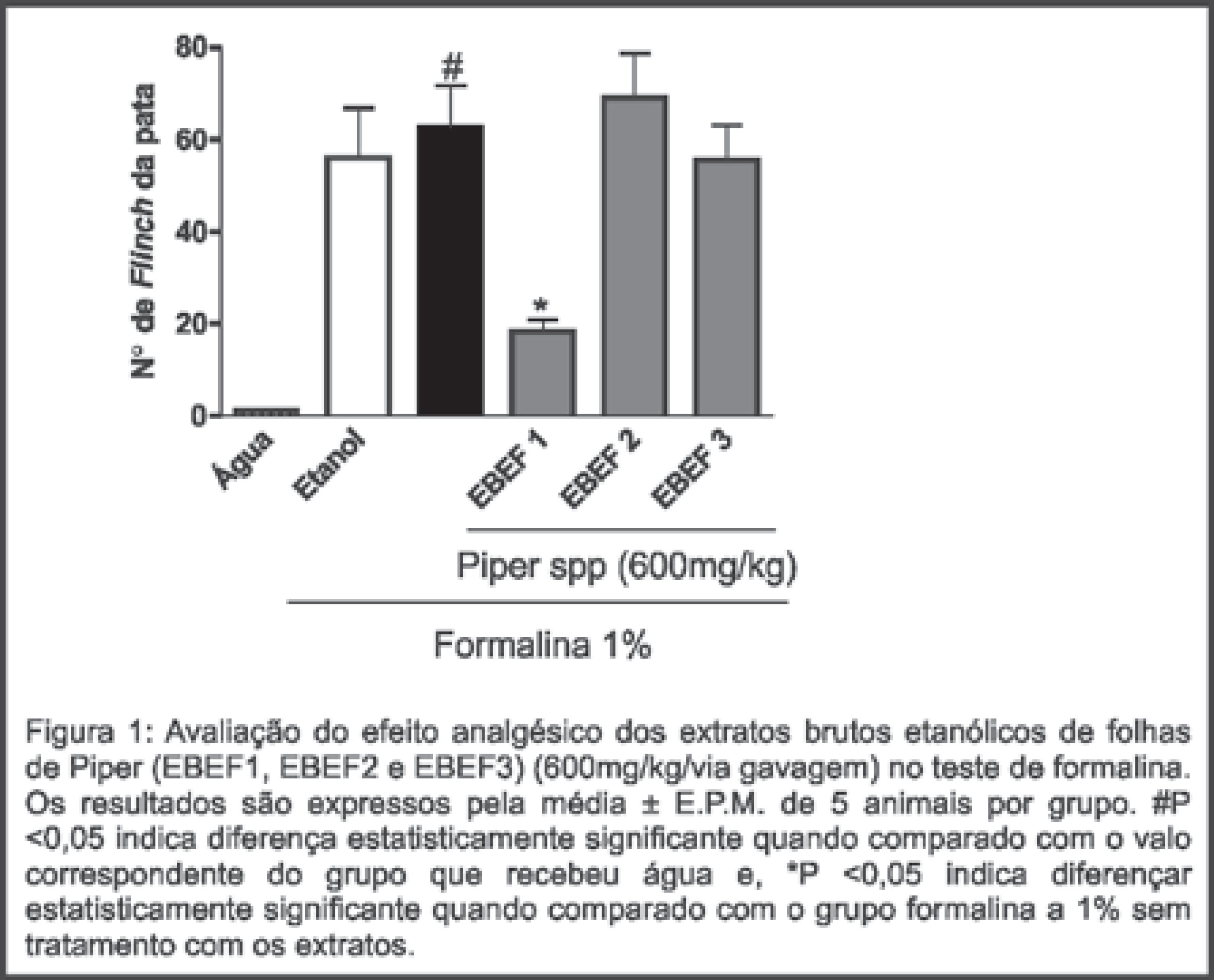 Figura 1