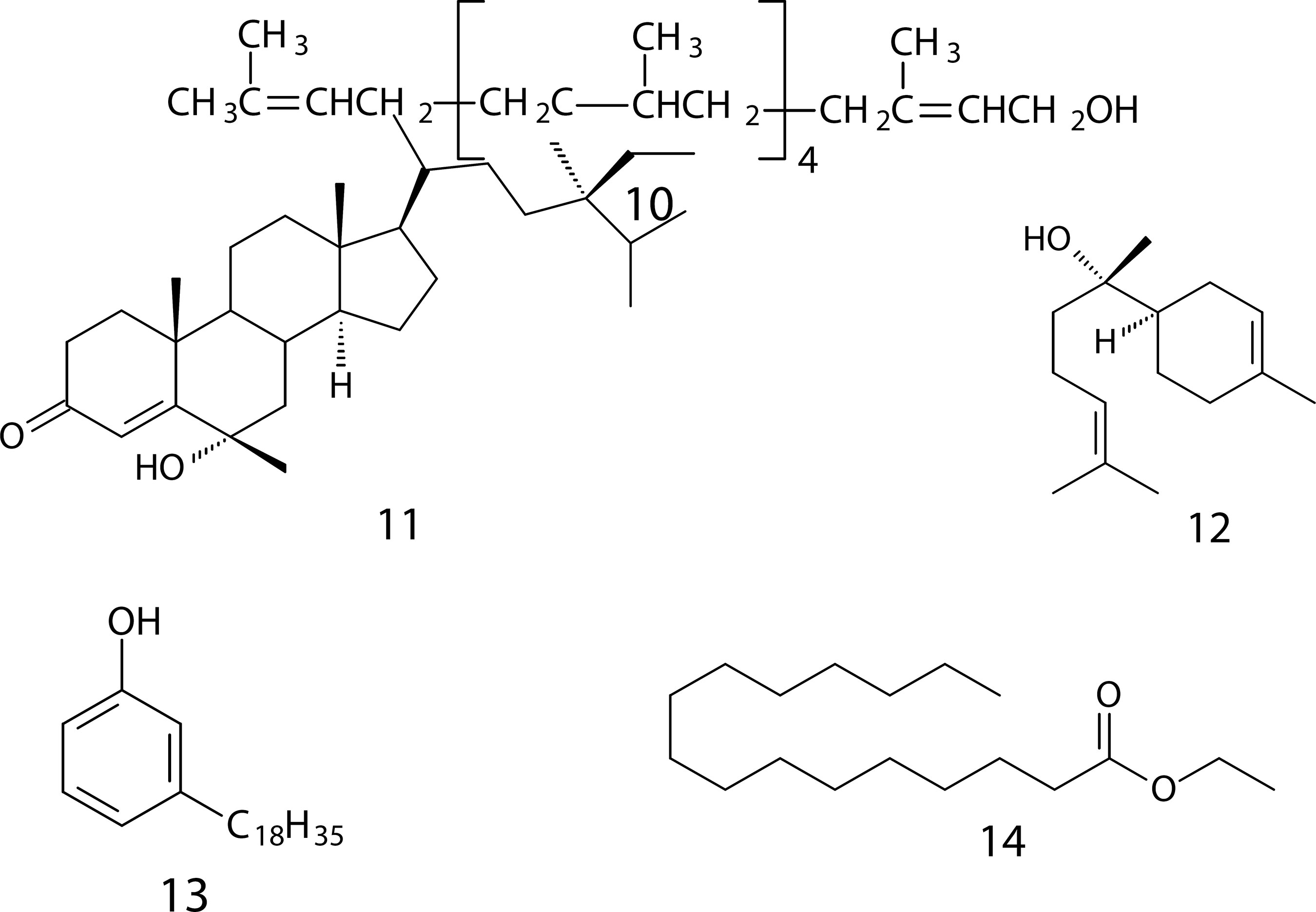 Figura 3