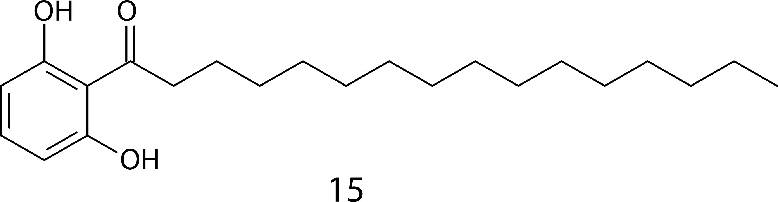 Figura 4