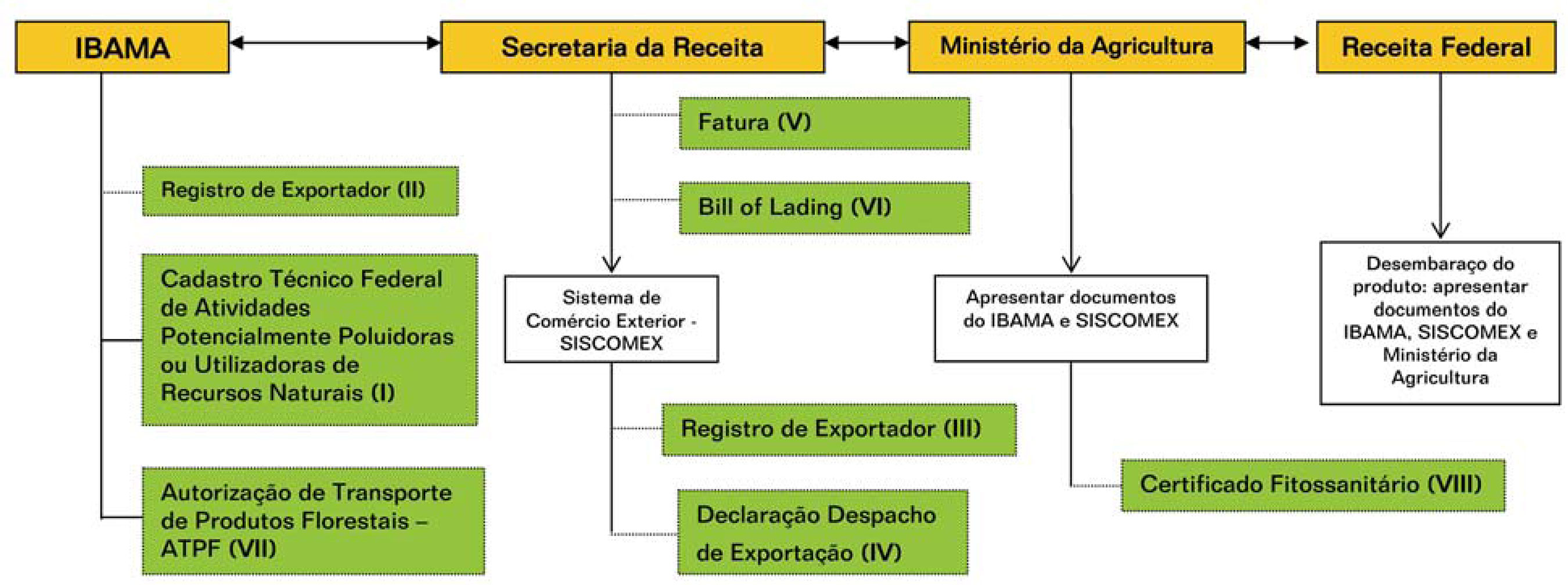 Figura 1