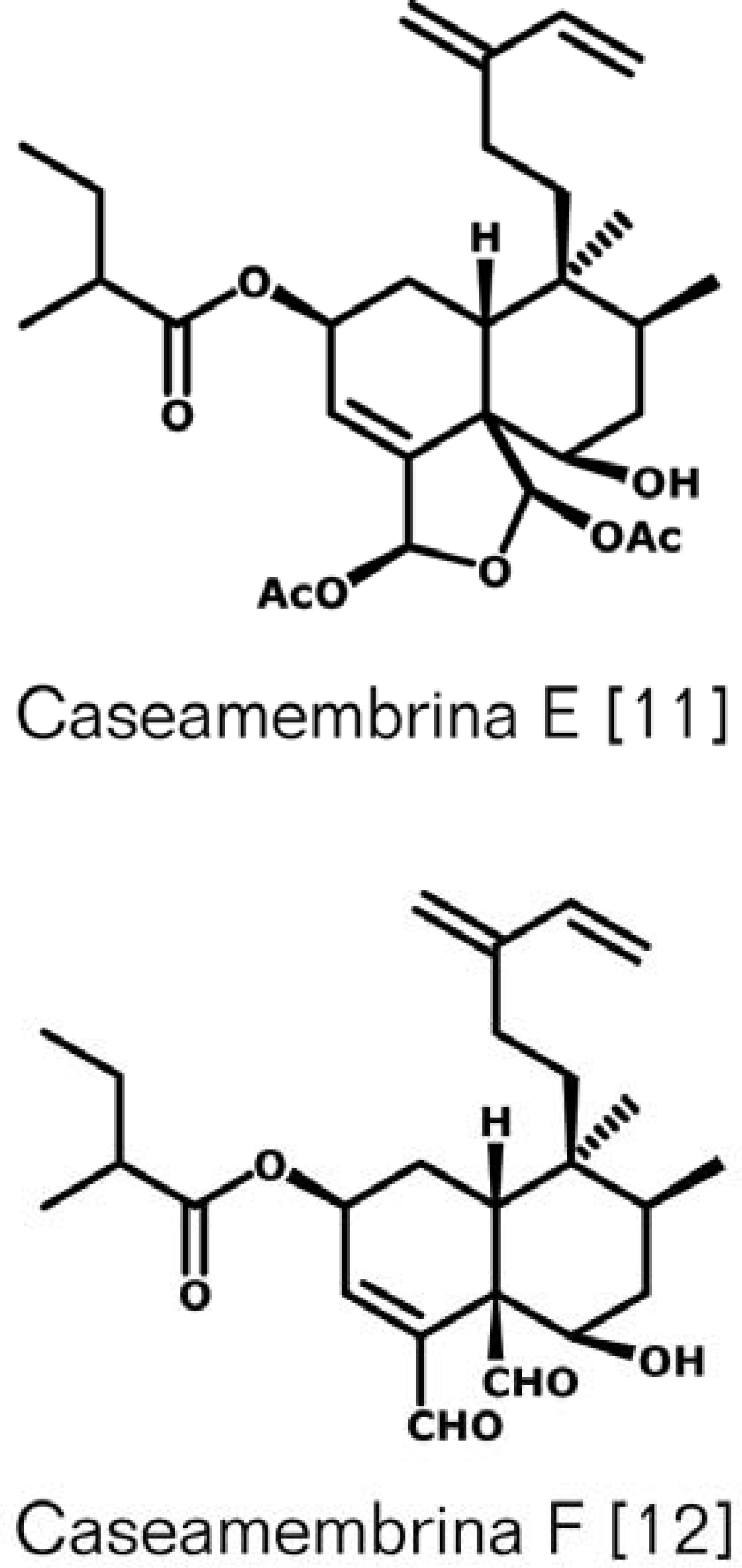 Figura 4