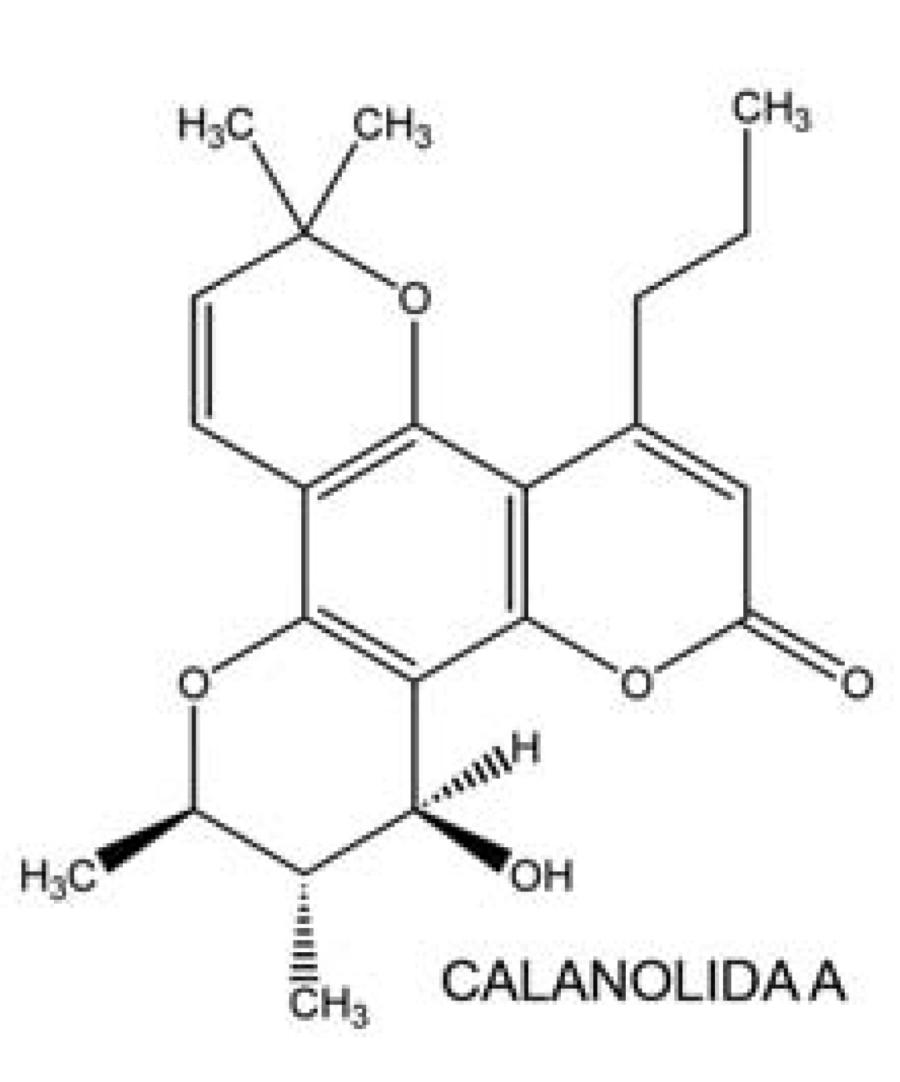 Figura 3