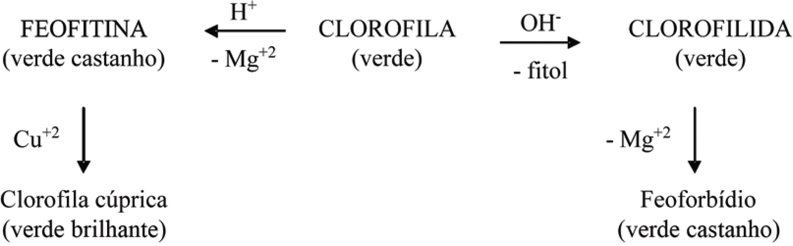 Figura 5