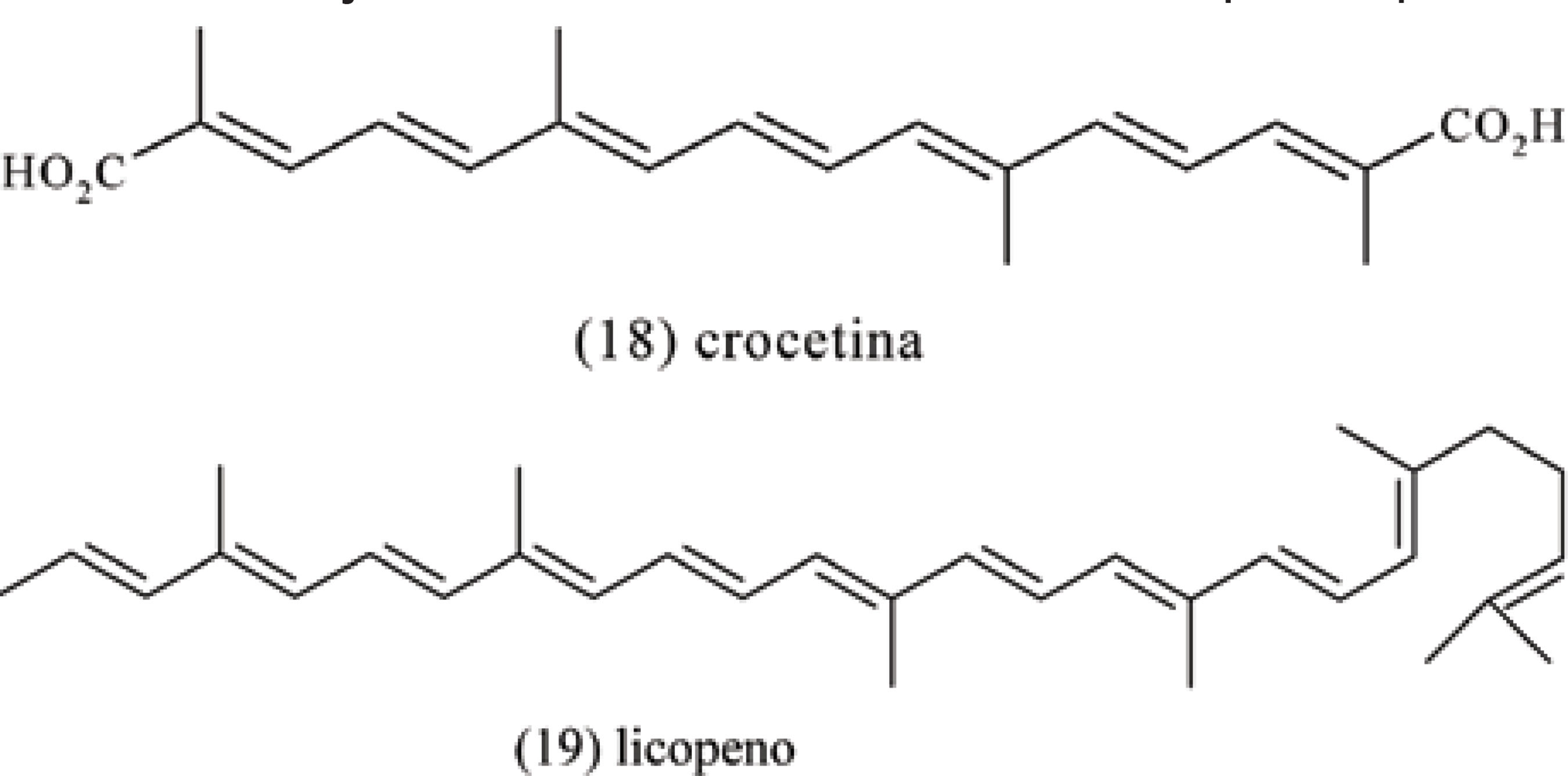 Figura 7