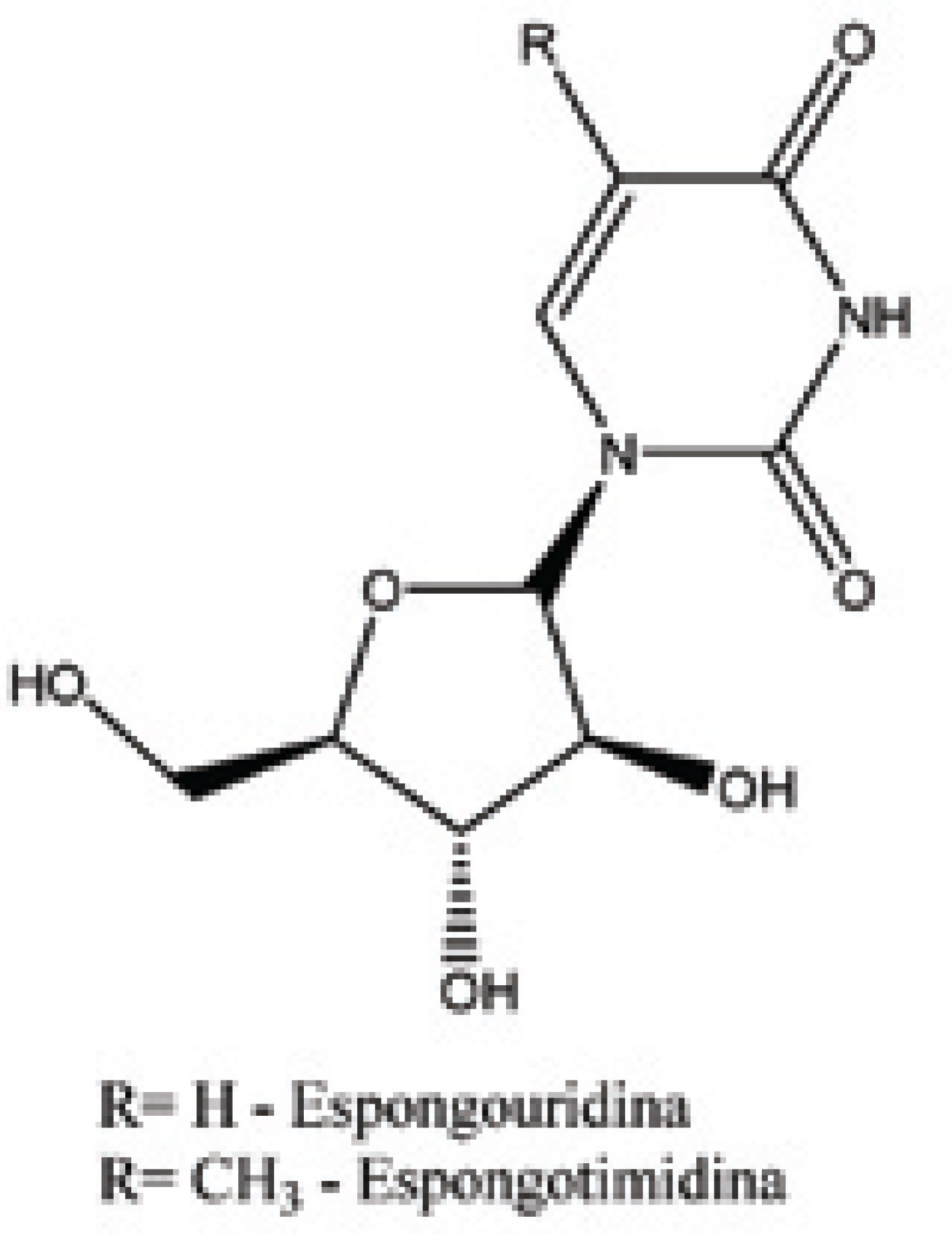 Figura 3