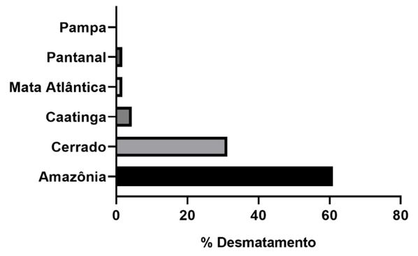 Figura 3