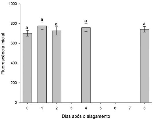 Figura 9