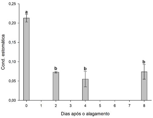 Figura 8