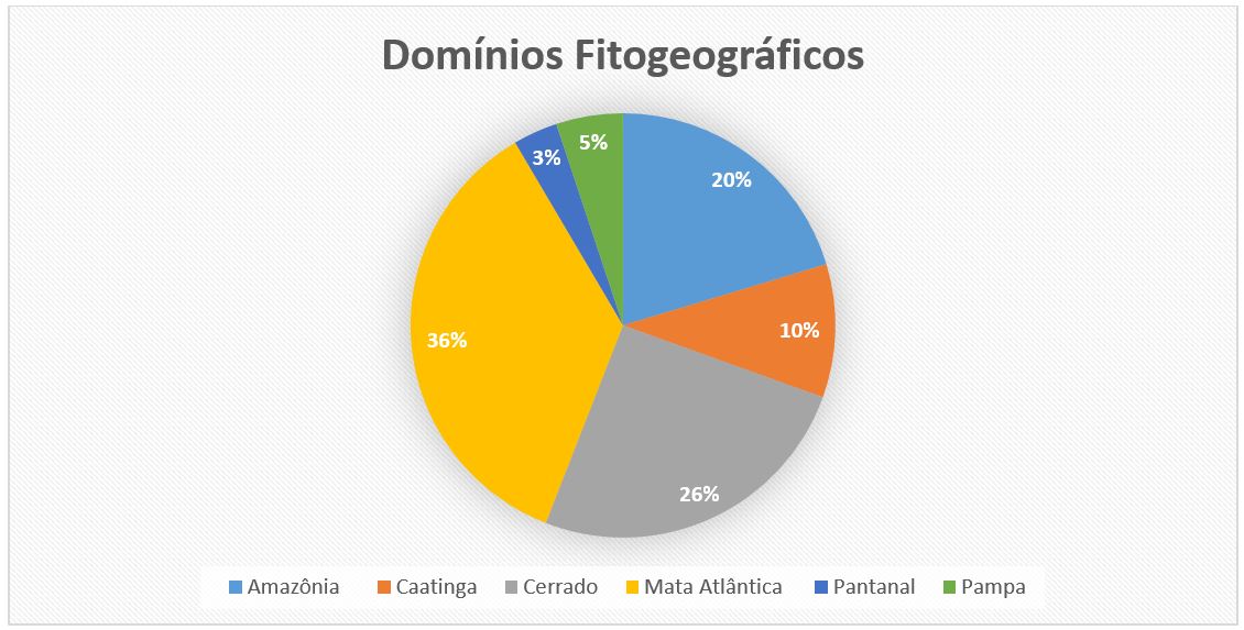 Figura 3