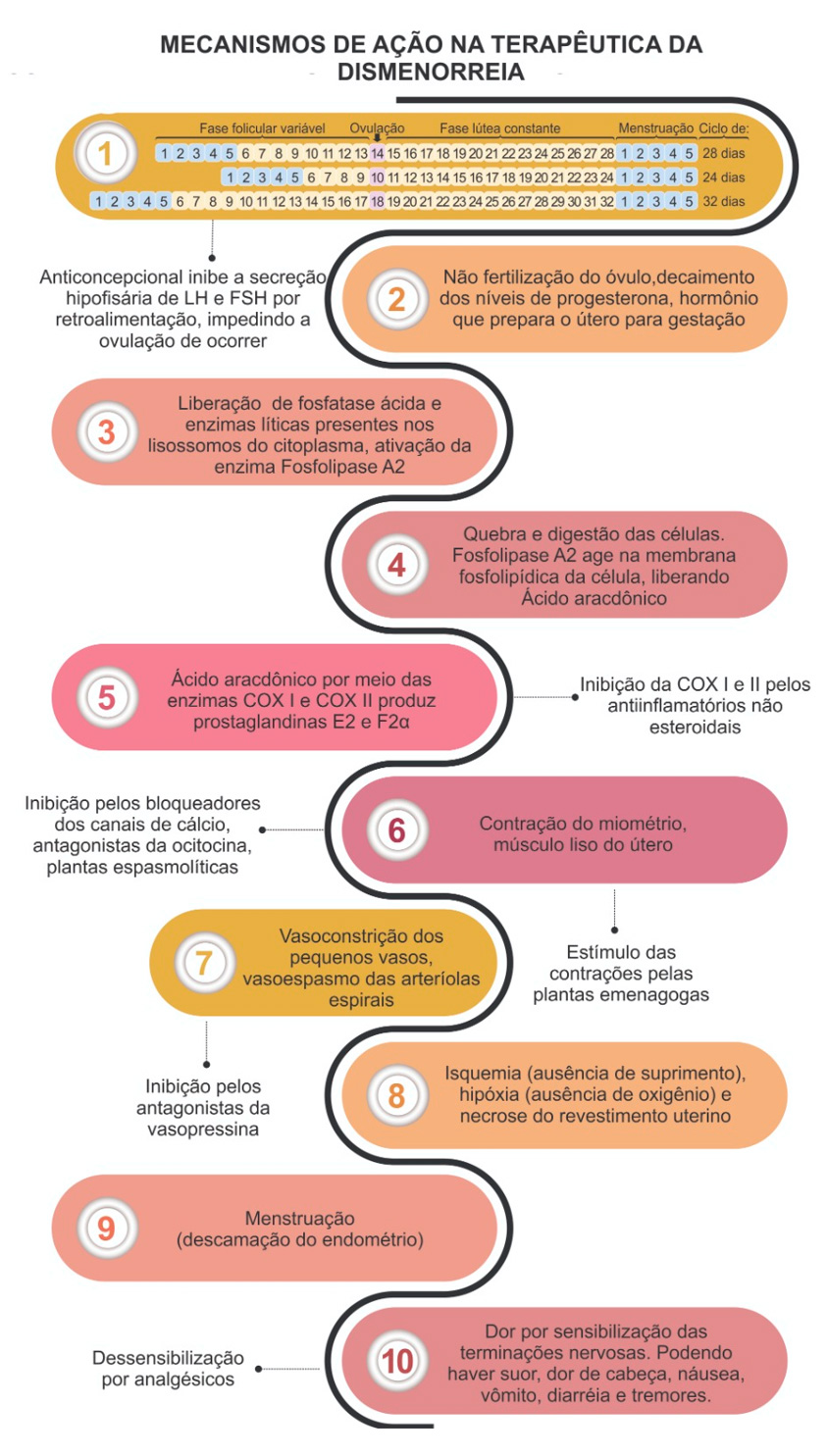 Figura 1