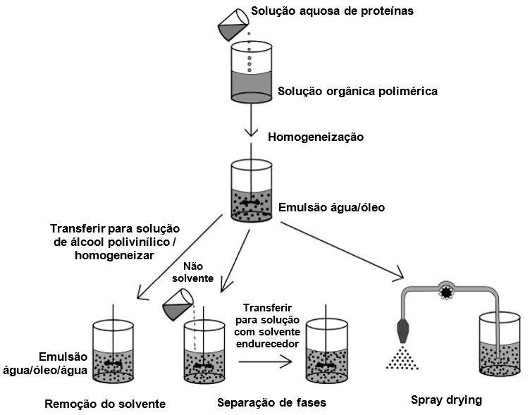 Figura 5