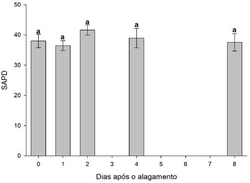 Figura 13