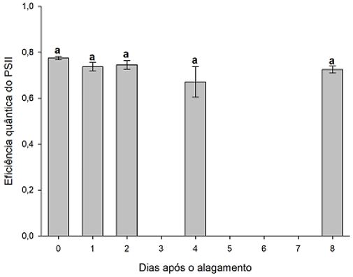 Figura 12