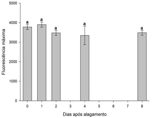 Figura 10