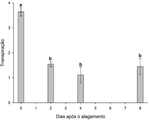 Figura 7