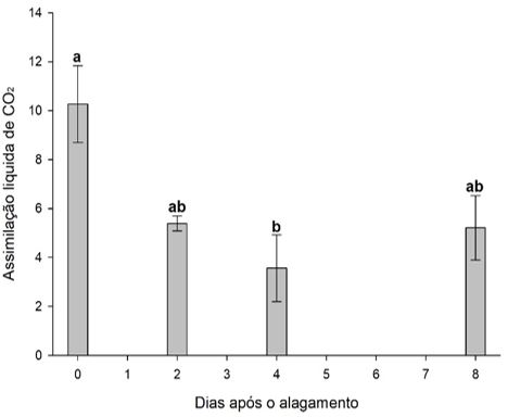 Figura 6