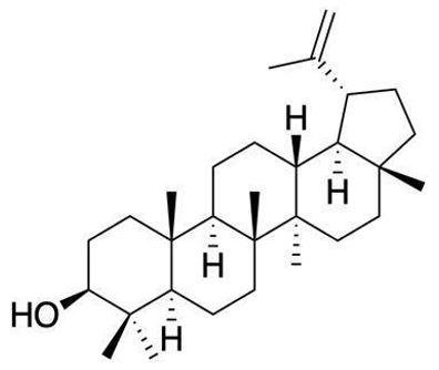 Figura 1